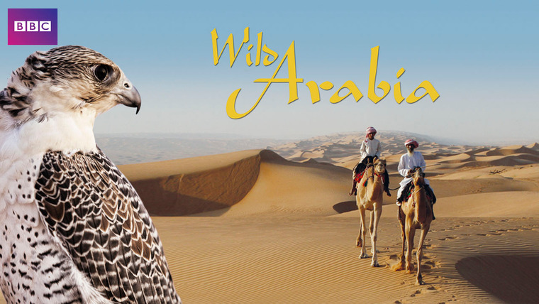 Show Wild Arabia