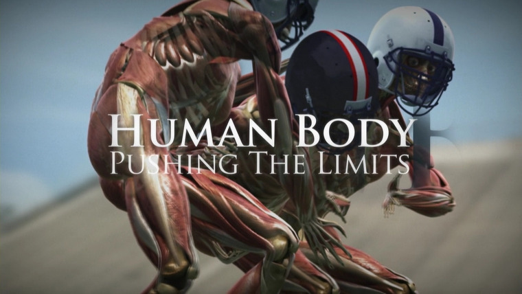 Show Human Body: Pushing the Limits