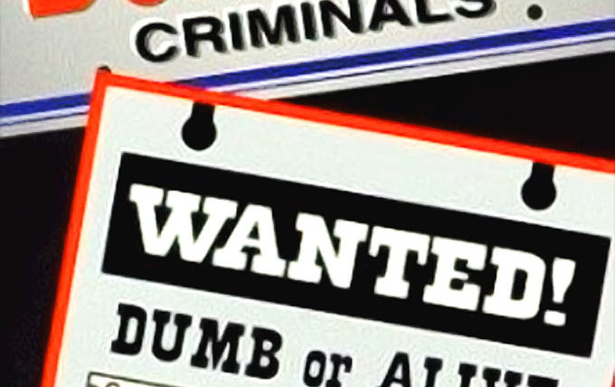 Сериал America's Dumbest Criminals