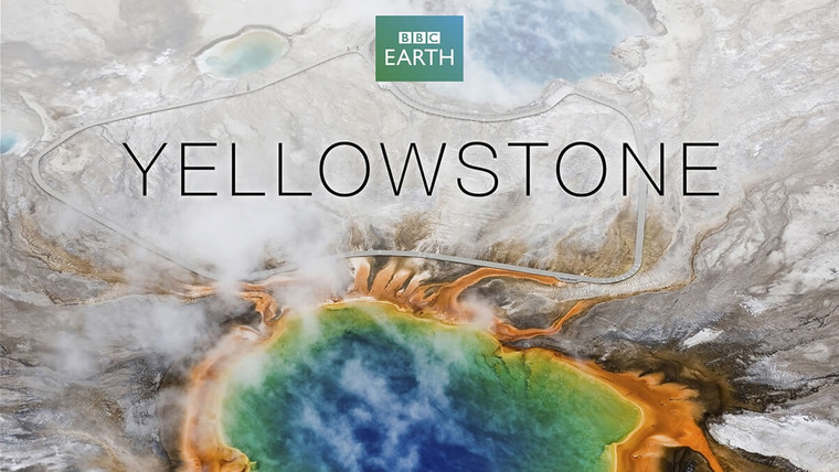 Сериал BBC: Йеллоустоун: Заметки о дикой природе