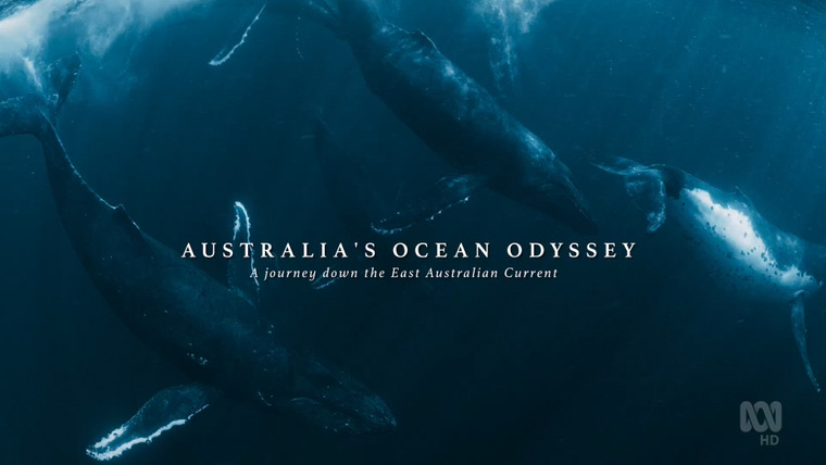 Сериал Австралийская Океанская Одиссея
