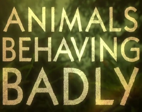 Show Animals Behaving Badly