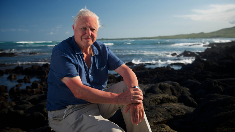 Show Galapagos with David Attenborough
