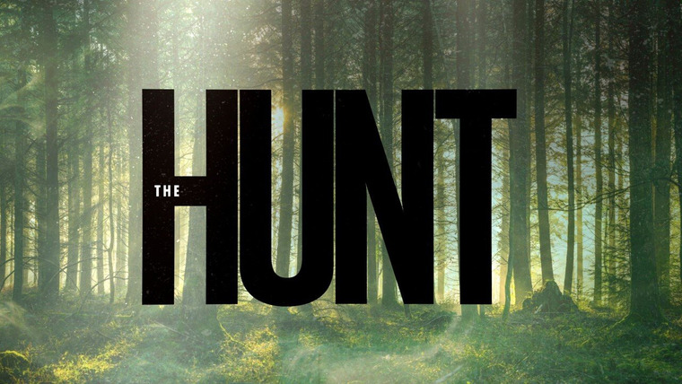 Сериал The Hunt