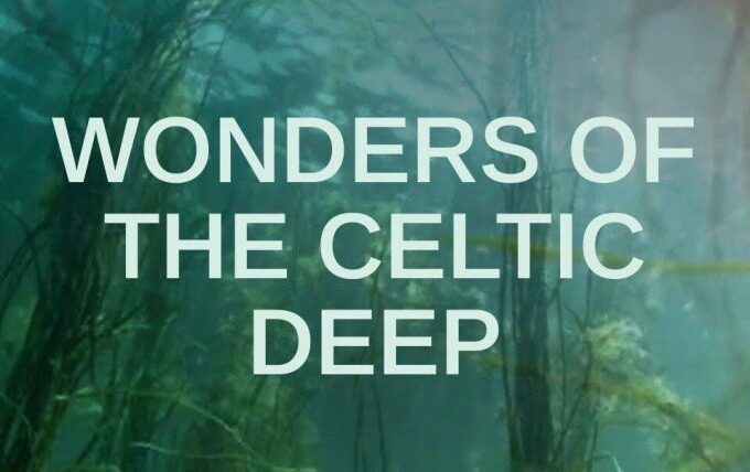 Сериал Wonders of the Celtic Deep