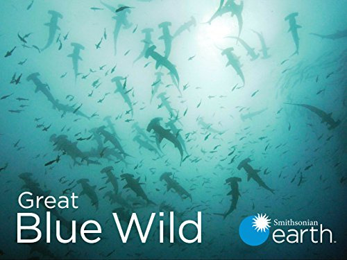 Show Great Blue Wild