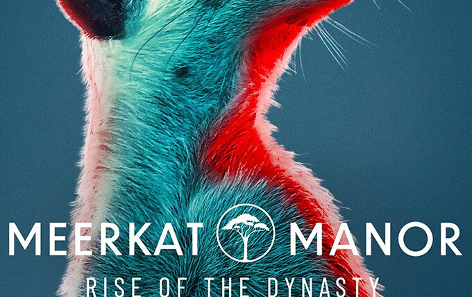 Show Meerkat Manor: Rise of the Dynasty