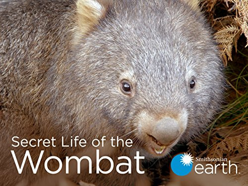 Show Secret Life of the Wombat