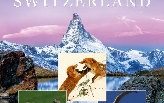 Сериал Wild Switzerland