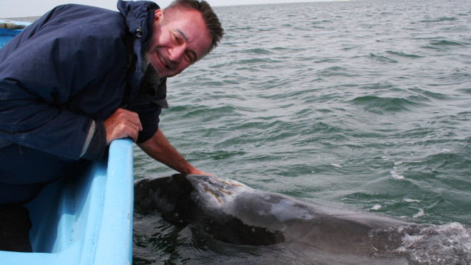 Show Whale Adventure with Nigel Marven