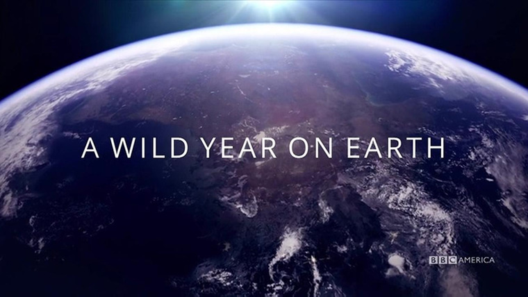Сериал A Wild Year on Earth
