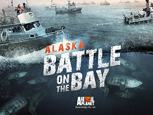 Show Alaska: Battle on the Bay