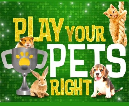 Сериал Play Your Pets Right