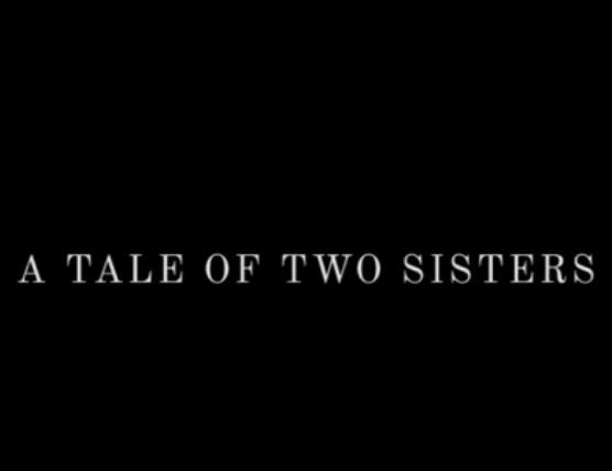 Сериал A Tale of Two Sisters