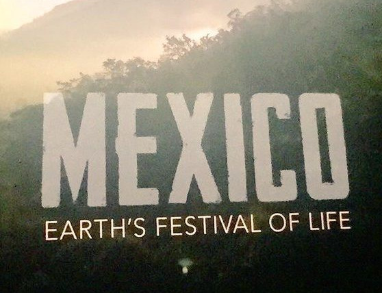 Сериал Mexico: Earth's Festival of Life