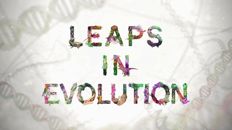 Show Leaps in Evolution