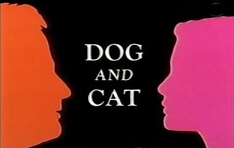 Show Dog and Cat