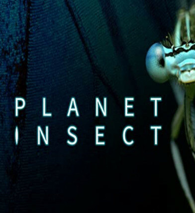Сериал Planet Insect