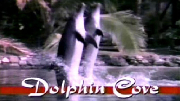 Сериал Бухта дельфинов