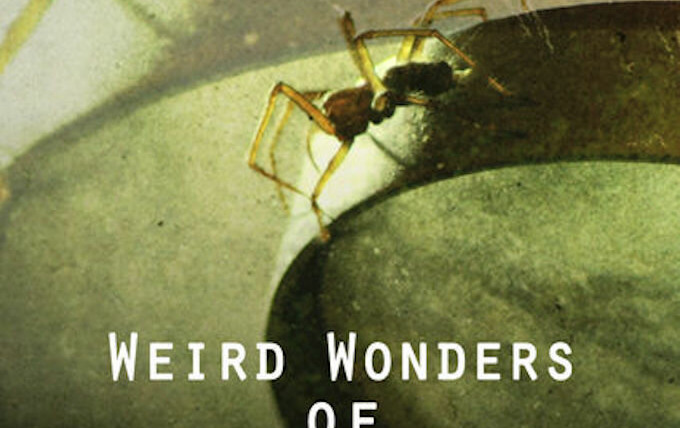 Show Weird Wonders of the World