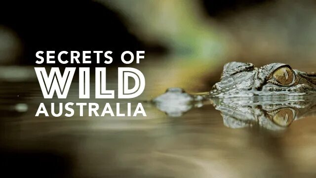 Сериал Тайны дикой природы Австралии