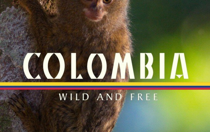 Show Colombia: Wild and Free