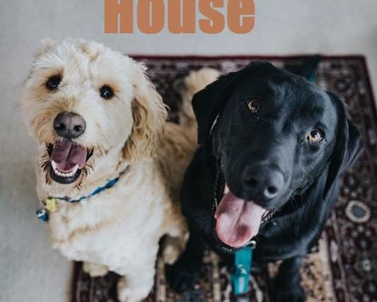 Show The Dog House