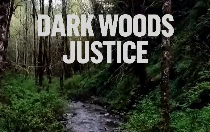 Сериал Dark Woods Justice