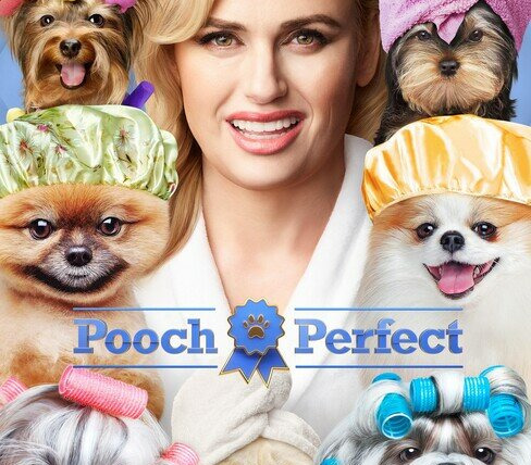 Show Pooch Perfect
