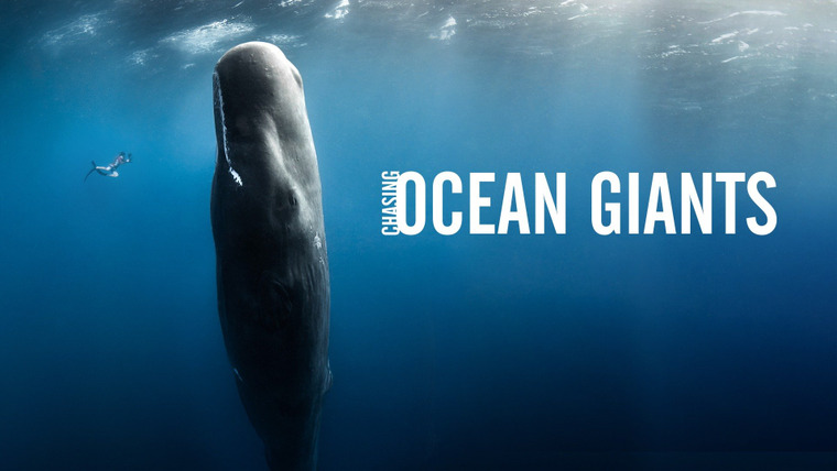 Show Chasing Ocean Giants