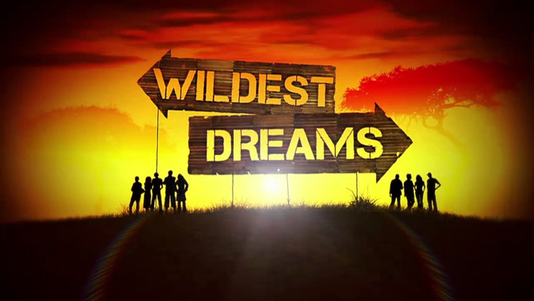Show Wildest Dreams