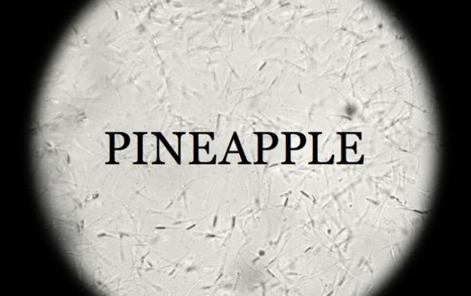 Сериал Pineapple