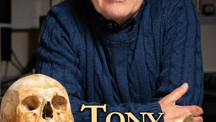 Show Tony Robinson's History of Britain