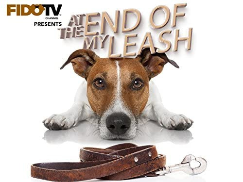 Сериал At the End of My Leash