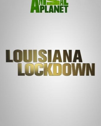 Сериал Louisiana Lockdown