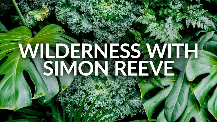 Сериал Wilderness with Simon Reeve