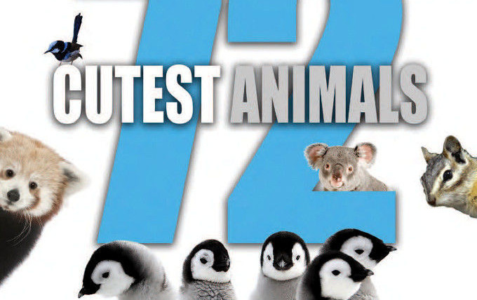 Сериал 72 Cutest Animals