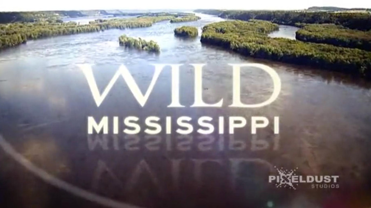 Show Wild Mississippi