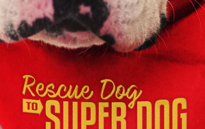 Show Rescue Dog to Super Dog