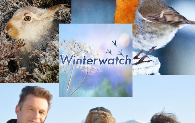 Show Winterwatch