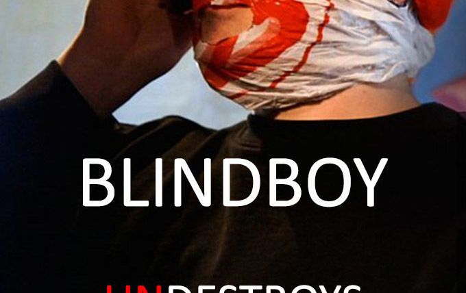 Сериал Blindboy Undestroys the World