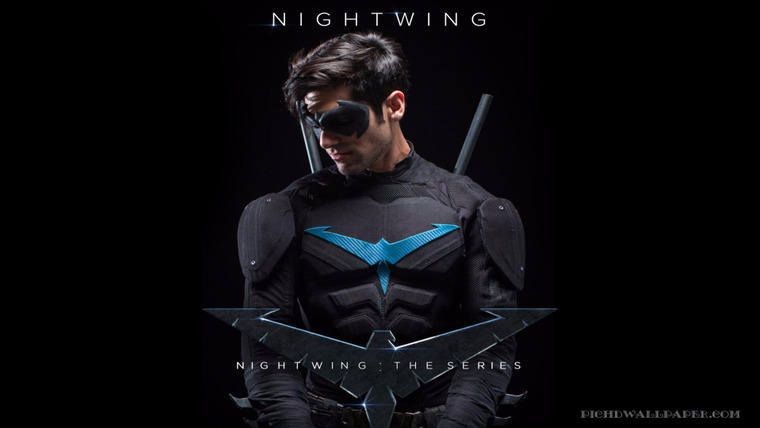 Show Nightwing: The Series