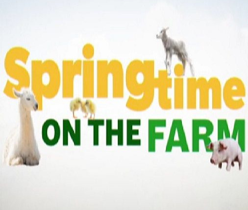 Сериал Springtime on the Farm