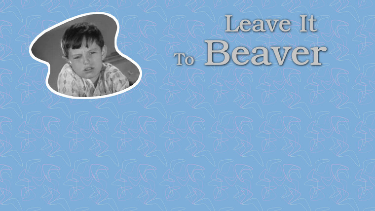 Show Leave It to Beaver