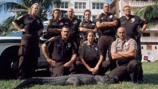 Сериал Полиция Майами: Отдел по защите животных