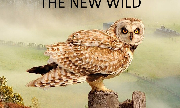 Show Scotland - The New Wild
