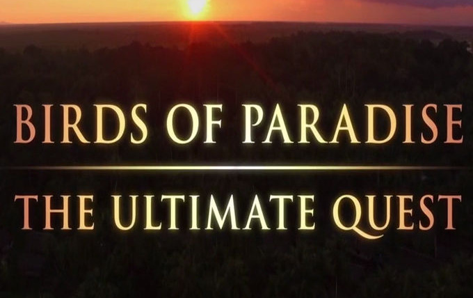 Сериал Birds of Paradise: The Ultimate Quest