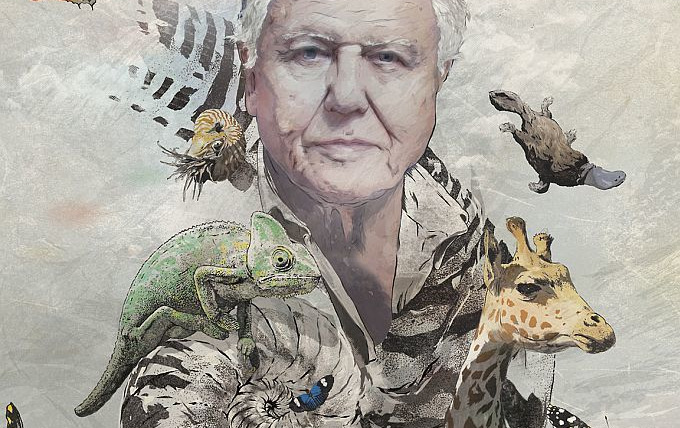 Show David Attenborough's Natural Curiosities
