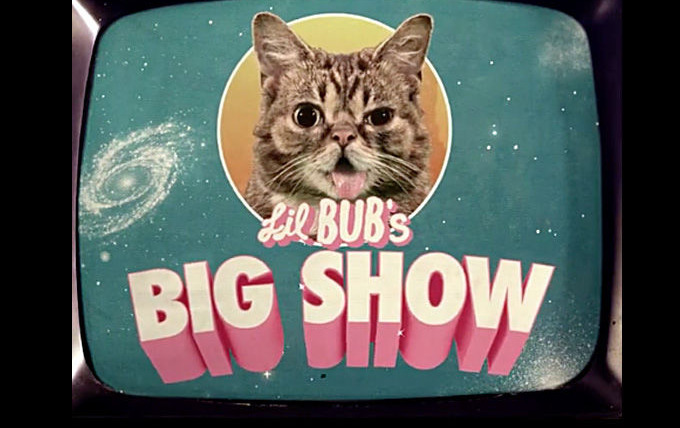 Сериал Lil BUB's Big SHOW