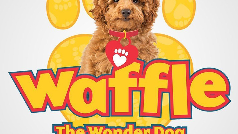 Show Waffle the Wonder Dog